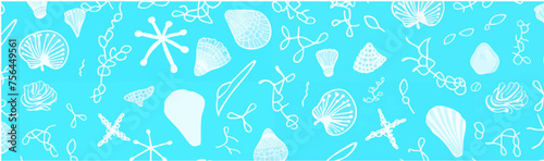Vector seashell banner © monchi_hamu