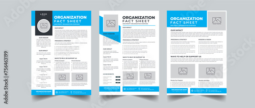 Nonprofit Organization Fact Sheet layout design template with 3 style design concept photo