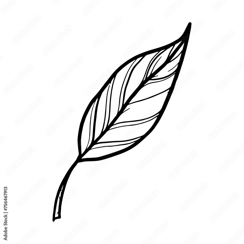 line art of leaf isolated on white background, vector illustration