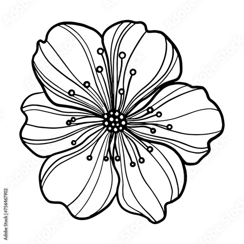 Spring flower on white background