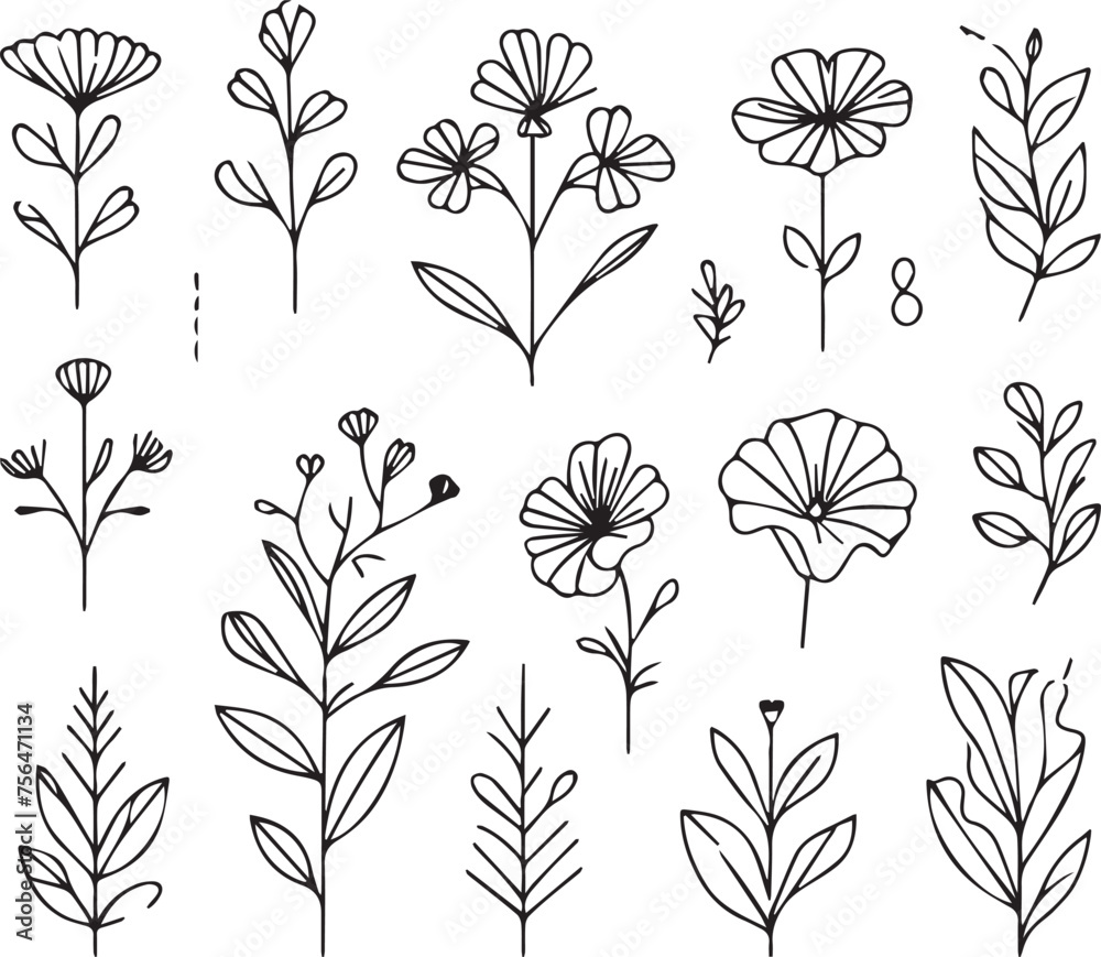 Plant outline drawing vector, Vector drawing,  minimalistic flower graphic sketch drawing,