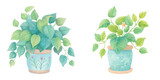 cute plant watercolour vector illustration 