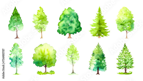 Watercolor Set Of Green Trees Isolated On White. Simple flat forest flora  coniferous and deciduous meadow trees