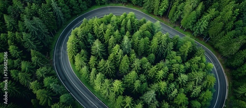 Top down view of a secluded pine woodland road. Aerial Photography with a drone, natural forest