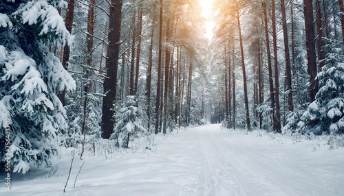 winter forest background with beautiful snow