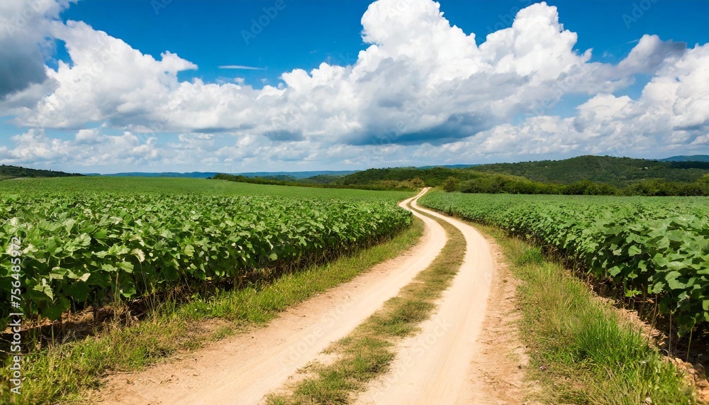 natural landscape and dirt road