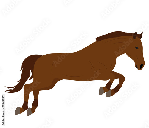 Beautiful brown jumping horse, vector illustration © nosyrevy