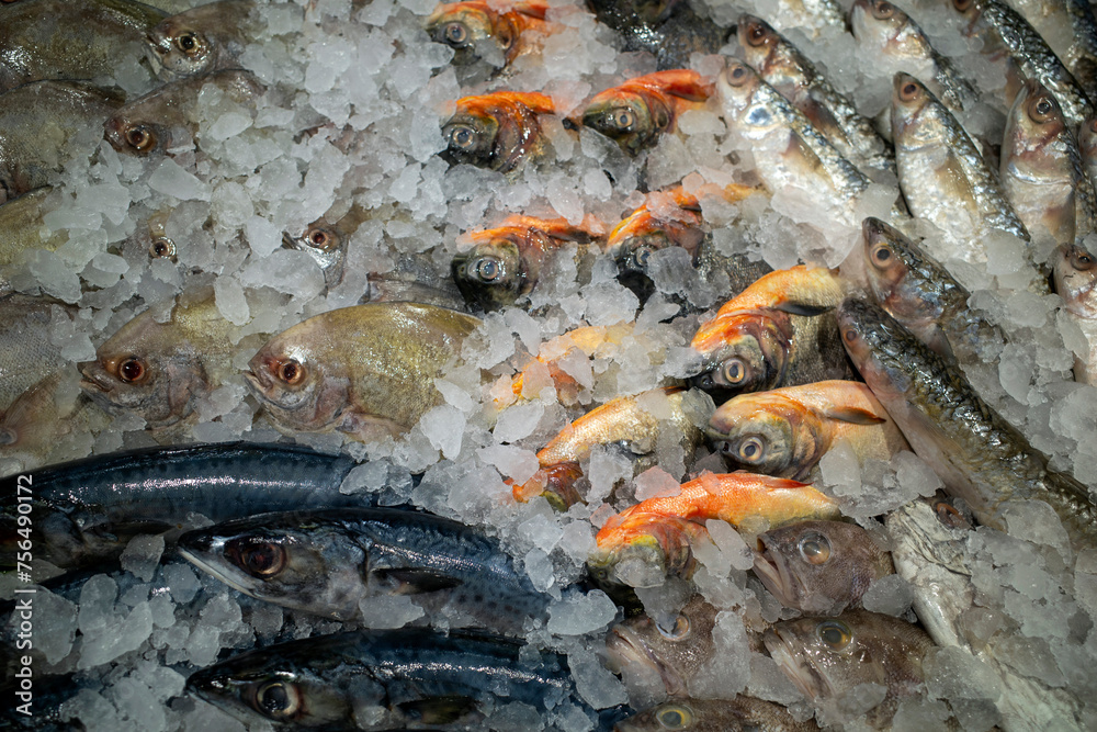 Fresh fish on the ice in the supermarket in Yogyakarta, Indonesia