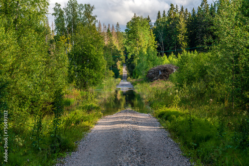 Dirt road in a forest flooded by rain water