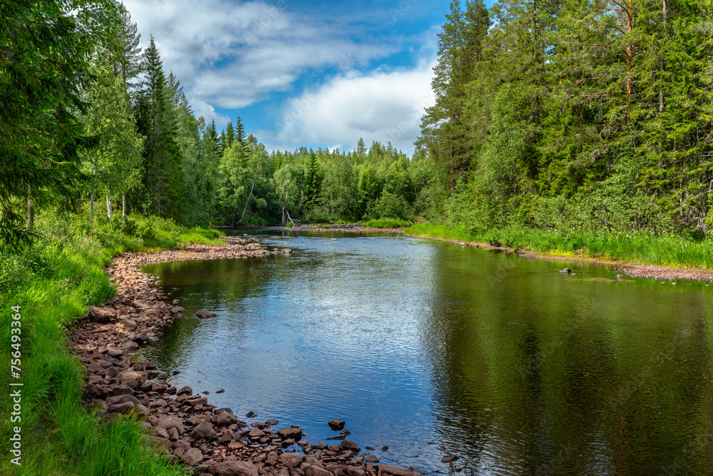 Fototapeta premium Summer view of the river Ogstrommen in Sweden
