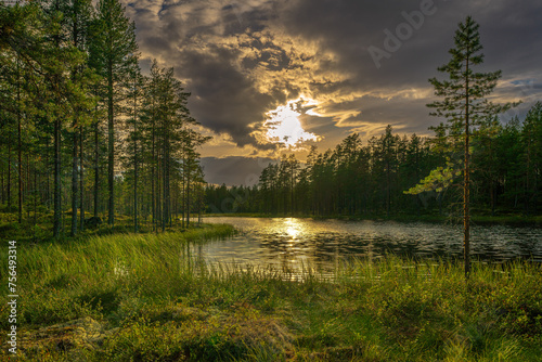 Summer view in the evening from a small forest lake in Sweden