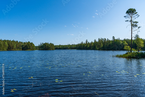 View across a small lake in Sweden