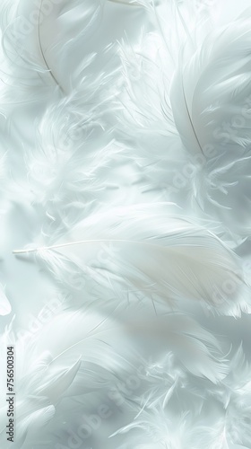 Soft white feathers layered gently room © Virtual Art Studio