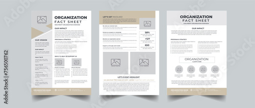 Nonprofit Organization Fact Sheet Template