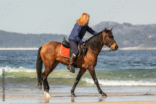 horse and rider on the beach © Aleksei