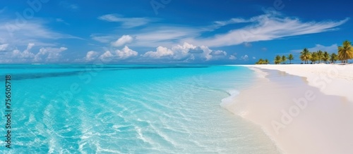 Fototapeta Naklejka Na Ścianę i Meble -  Summer natural landscape. Tropical beach with sea, blue sky and palm trees and white sand
