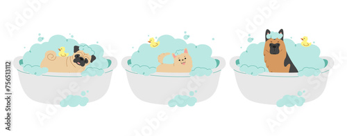 Pet Grooming 6 cute on a white background, vector illustration.