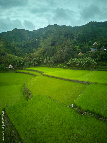 vistas panorámicas de terrazas de arroz en Ducligan, Filipinas photo