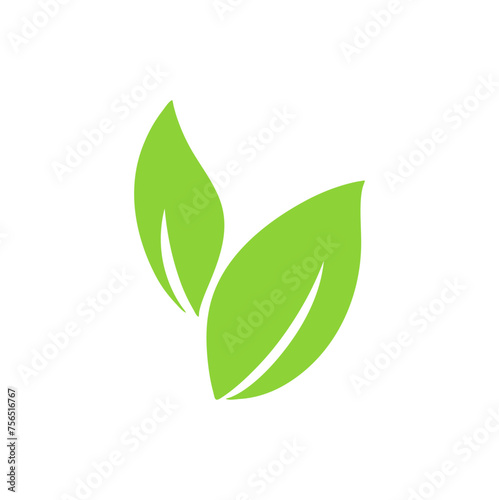 green leaves illustration 