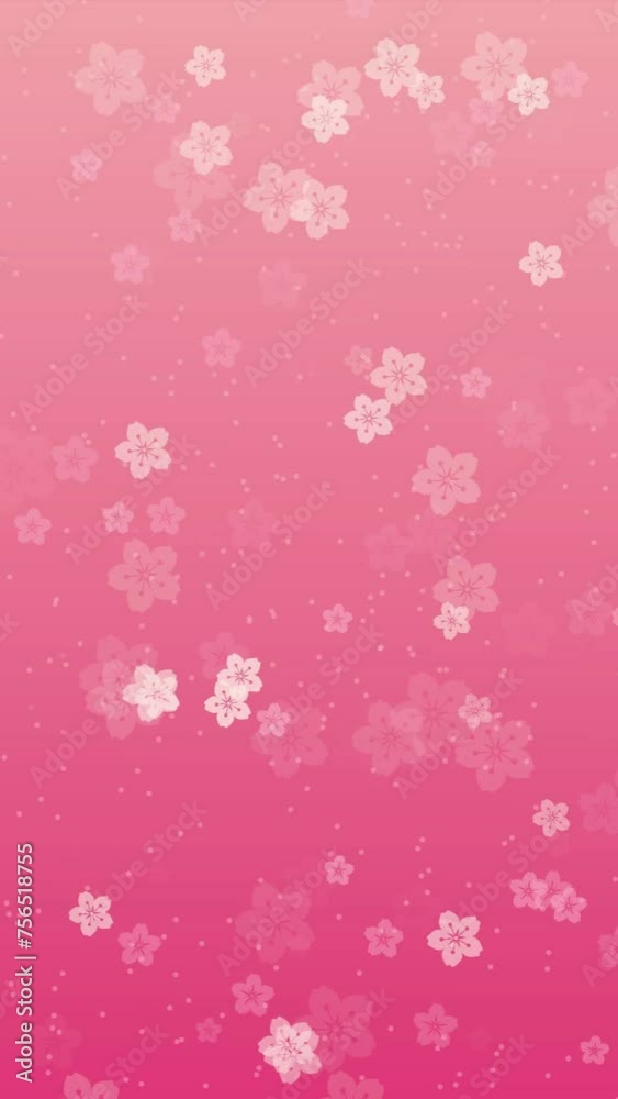 Abstract floral vertical video background with animated sakura flowers and cherry blossom petals falling on peach pink backdrop. Tender pastel color animation for oriental or springtime concept. Abstract floral vertical video background with animated sakura flowers and cherry blossom petals falling on peach pink backdrop. Tender pastel color animation for oriental or springtime concept.
