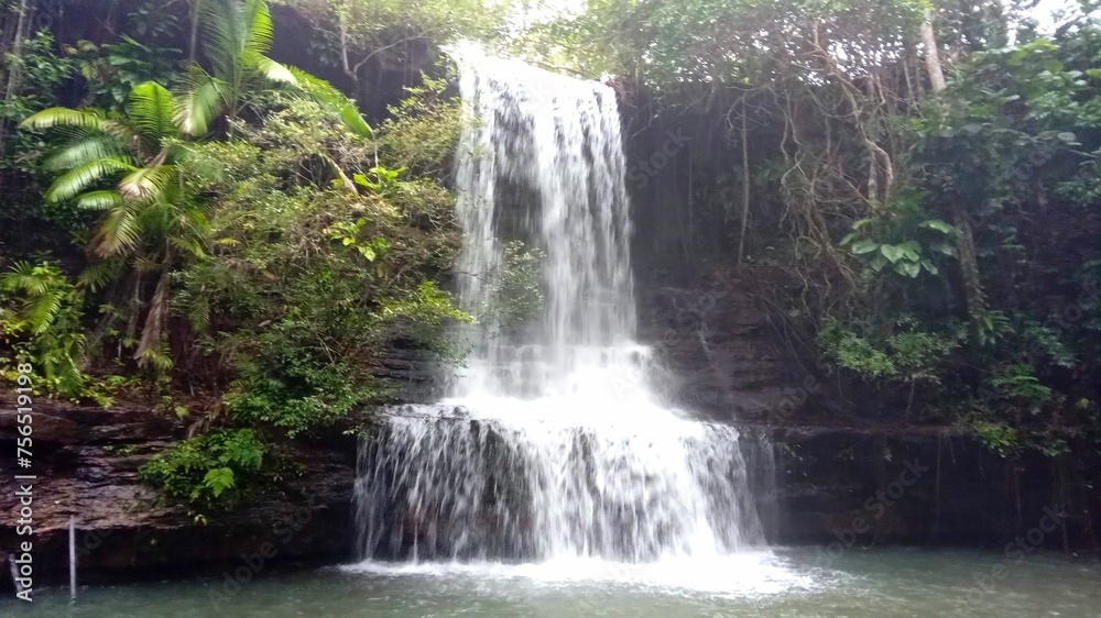 Fototapeta premium waterfall in the forest