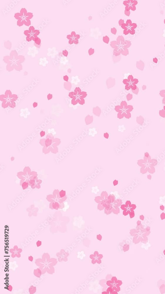 Abstract floral vertical motion background with animated pink sakura flowers and cherry blossom petals falling on pale rose backdrop. Tender pastel color animation for oriental or springtime concept. Abstract floral vertical motion background with animated pink sakura flowers and cherry blossom petals falling on pale rose backdrop. Tender pastel color animation for oriental or springtime concept.