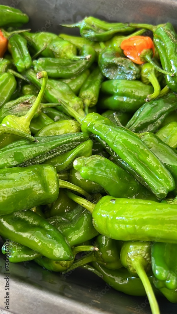 Pimientos del padron