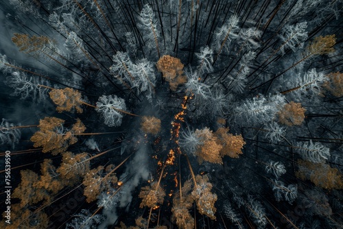 Aerial view of forest fire, air pollution