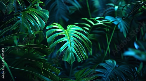 Tropical Leaves Illuminated with Blue and Green Lights  