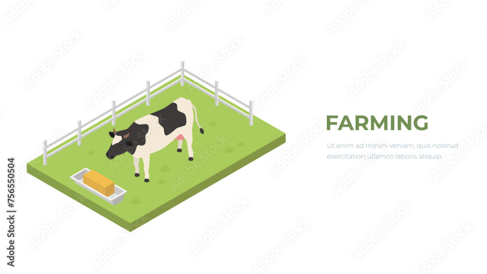 Farm cow isometric. Domestic animal in 3d view. Cute character of cow and hey. Vector icon