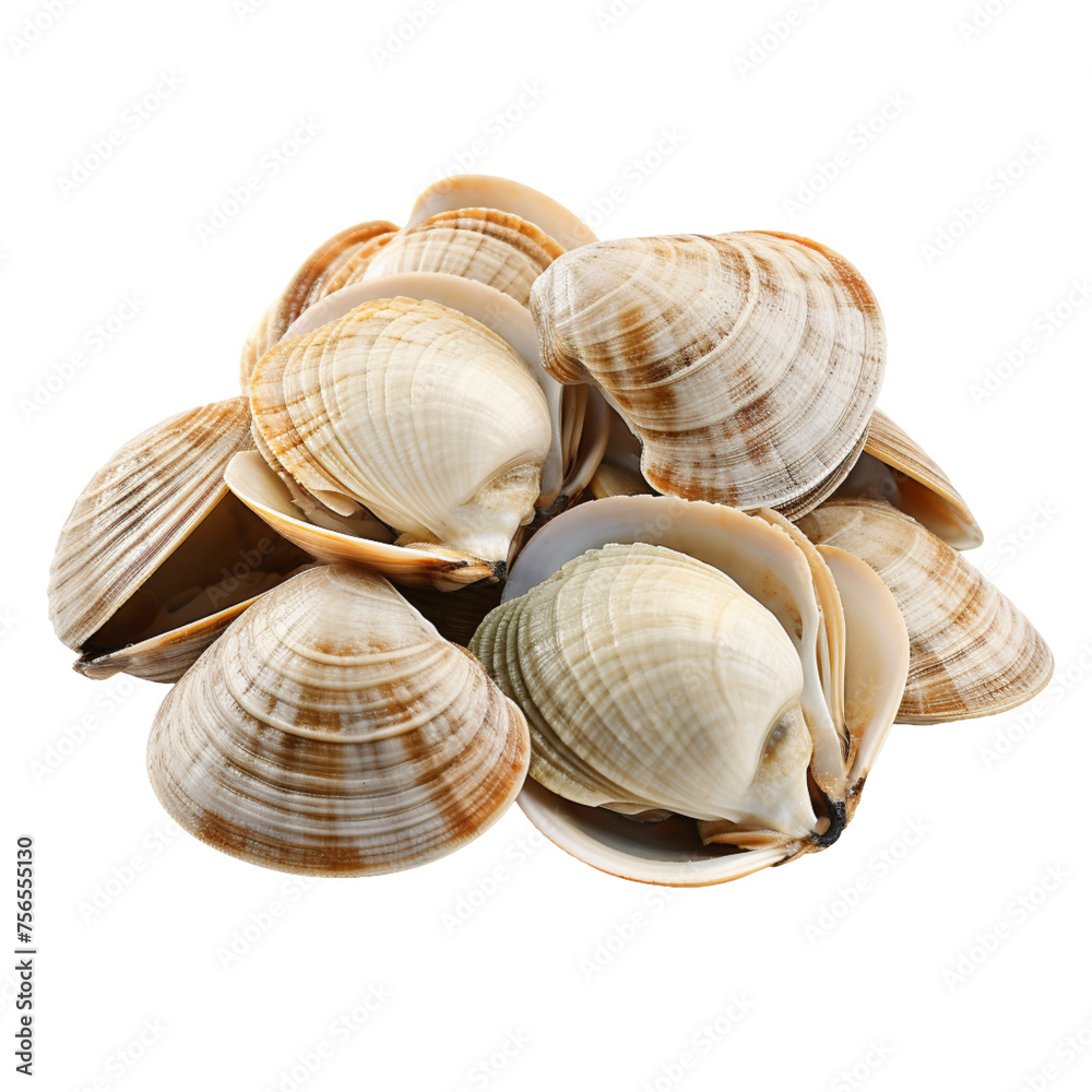 Asari clams isolated on transparent background Asari clams isolated on transparent background
