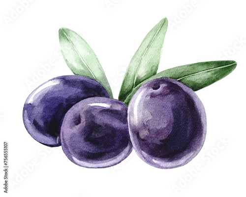 Black olives colourful food illustration  © Ann Lou