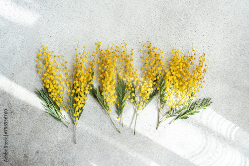 Overhead view of stems of yellow mimosa flowers lying side by side on a table photo