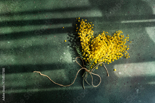 Overhead view of a bunch of freshly picked yellow mimosa stems tied with string in sunlight on a table photo
