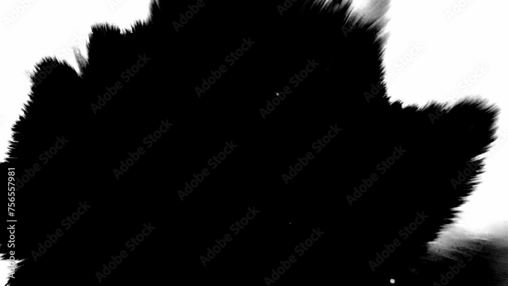 Turbulent painting blots emerge as black ink splatter decorates the canvas. Turbulent painting blots emerge as black ink splatter decorates the canvas.