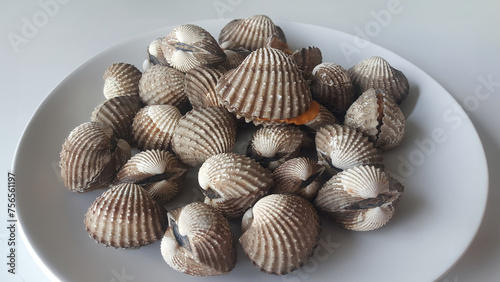 cockles boiled or steamed seafood in Koh Samui, Surat Thani, Thailand