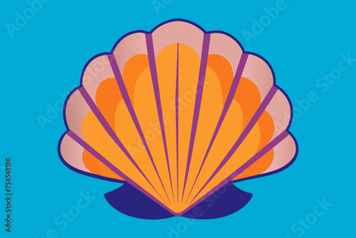 sea shell illustration