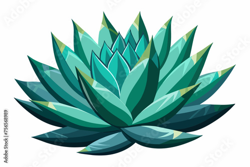 agave plant vector illustration 