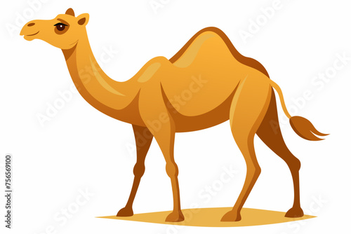 Camel vector illustration  © Chayon Sarker