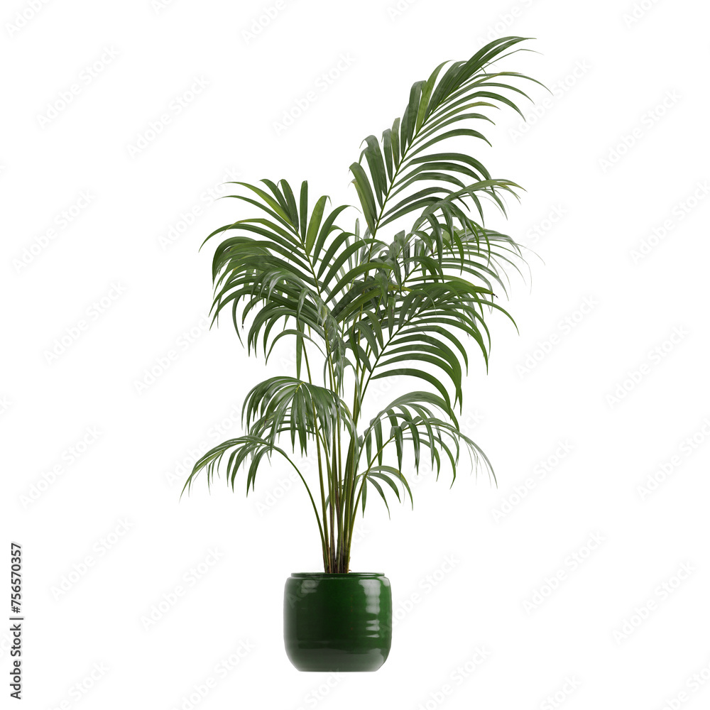 Obraz premium Potted plants isolated on white background