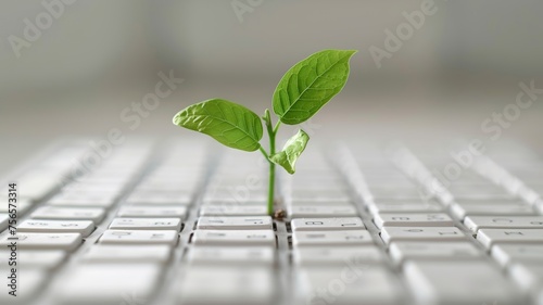 Green sapling sprouting from keyboard symbolizing organic growth in technology