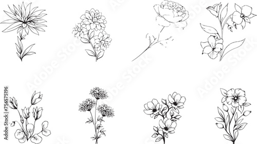 hand drawn flowers Vector de vegetación botánico-rústico de moda photo
