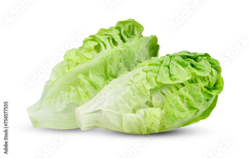 Green baby cos lettuce isolated on white background © supamas