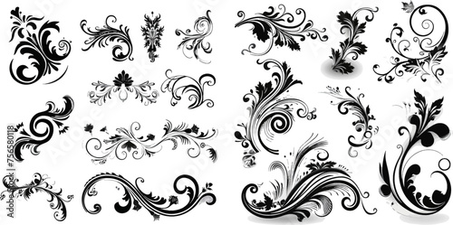 Calligraphic Design Elements - Isolated On White Background - Vector Illustration