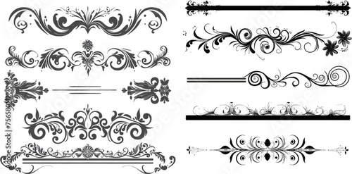 Collection of vector dividers calligraphic style