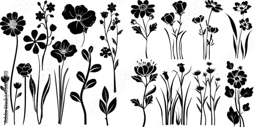 Flowers. Black silhouettes of flowers