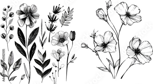 Abstract vector flowers and leaves drawn with ink brush