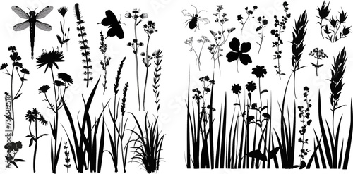Black silhouettes of grass, flowers, herbs and various insects