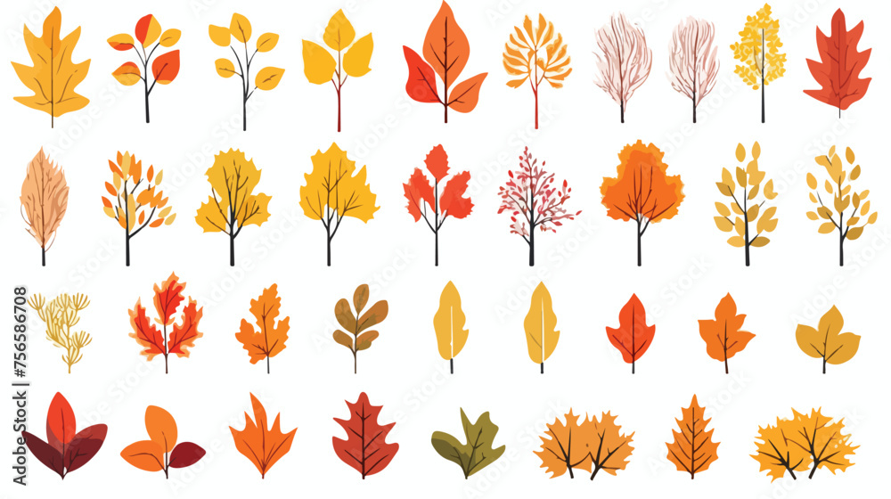 Autumn leaves colorful flat set of maple oak birch