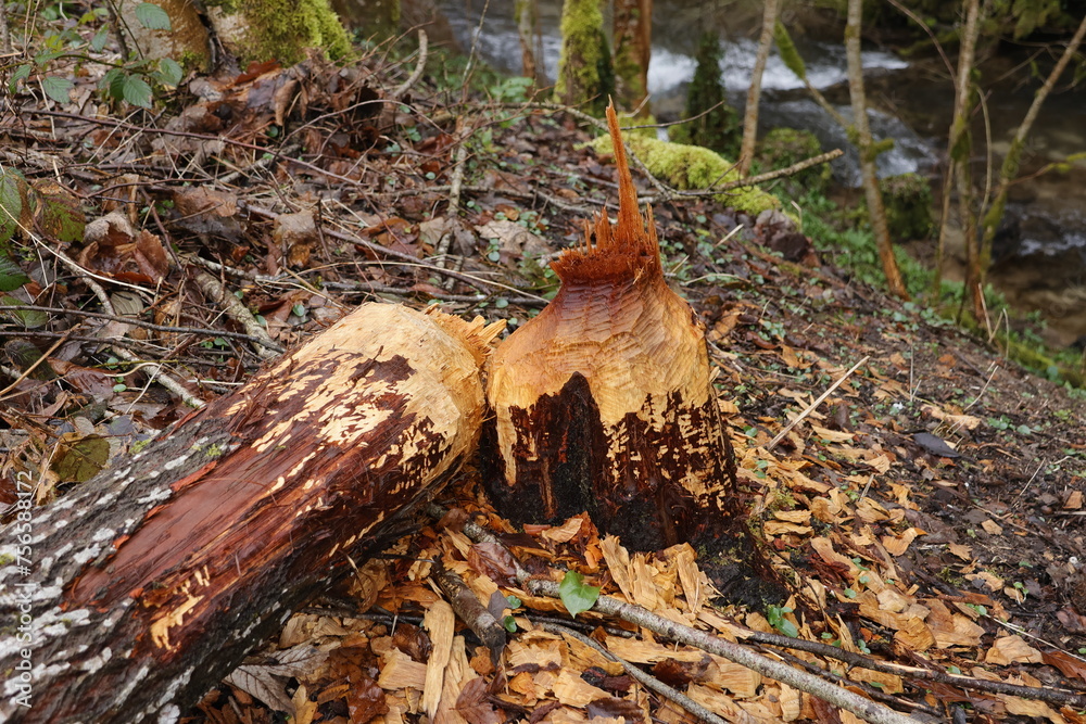Schönes Tal mit Bach von Bieber bearbeit.